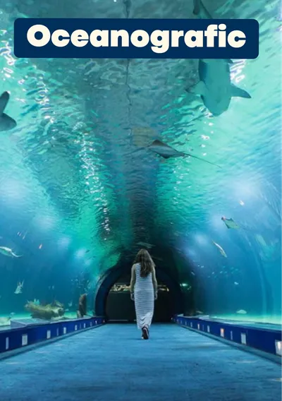 Combo Ticket: Oceanografic Hemisfèric Science Museum