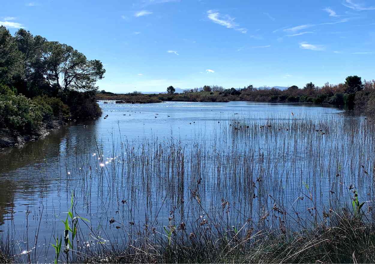 Albufera Experience Thumbnail 5